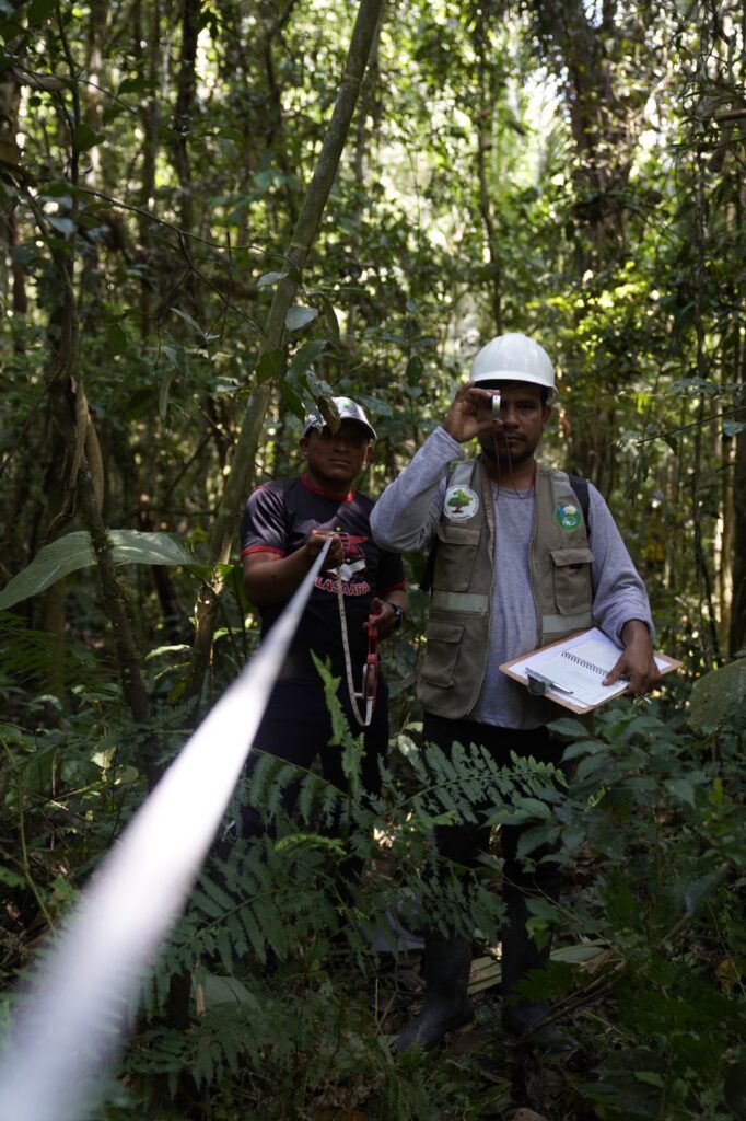AMAZONIA FLORECE